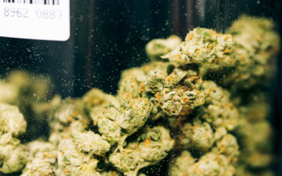 Illinois’ medical marijuana program could soon expand