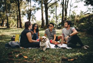 Friends having a picnic